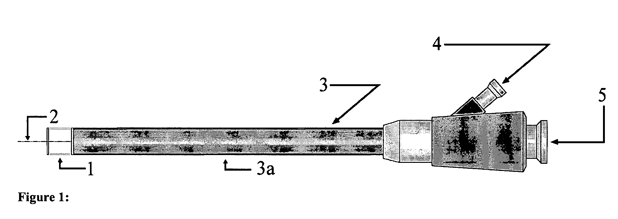 Methods and devices for endoscopic imaging