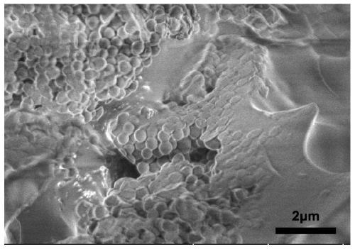 Temperature-responsible photothermal nanomaterial and preparation method thereof