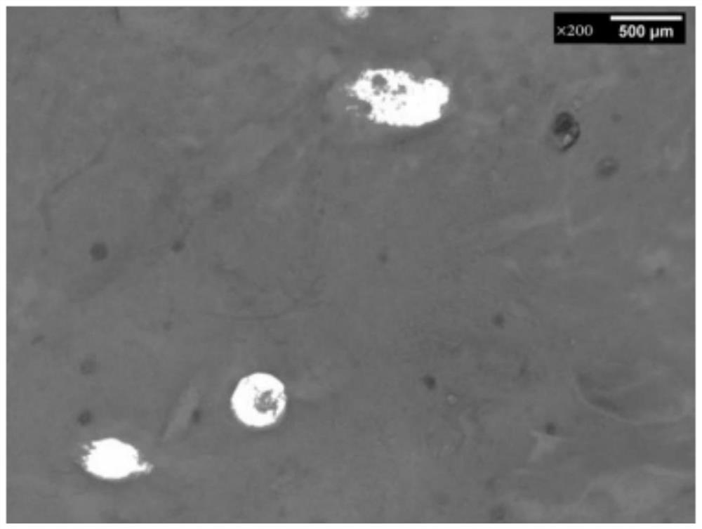 Puffer fish surimi product and preparation method thereof