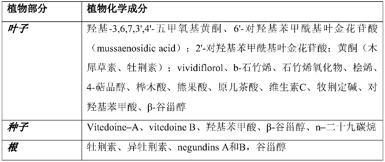 Dermatological or cosmetic compositions containing polyphenol-enriched extract of vitex negundo