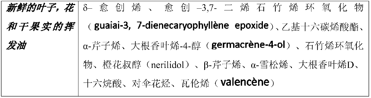 Dermatological or cosmetic compositions containing polyphenol-enriched extract of vitex negundo