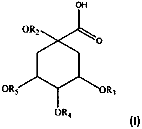 Dermatological or cosmetic compositions containing polyphenol-enriched extract of vitex negundo