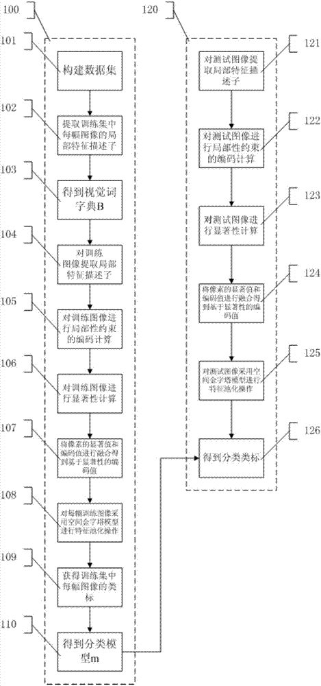 Image classification method based on locality constraints and saliency