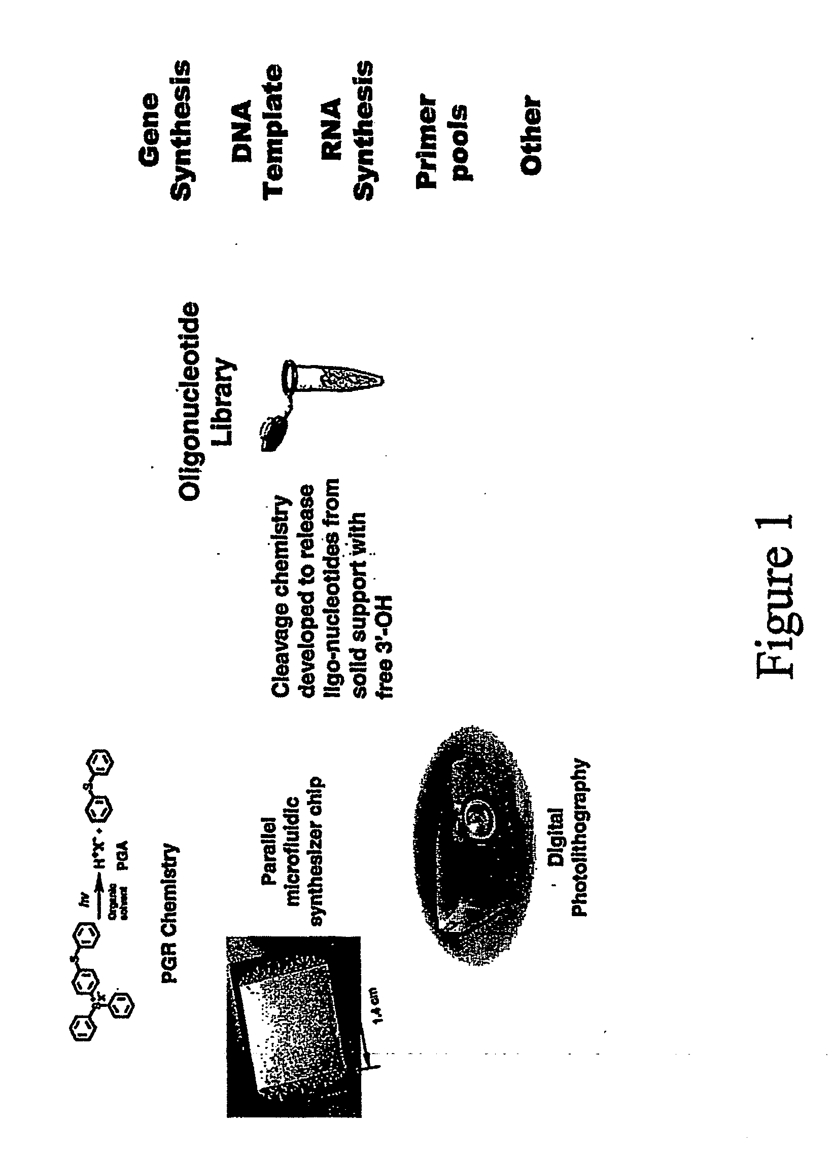 Array oligomer synthesis and use