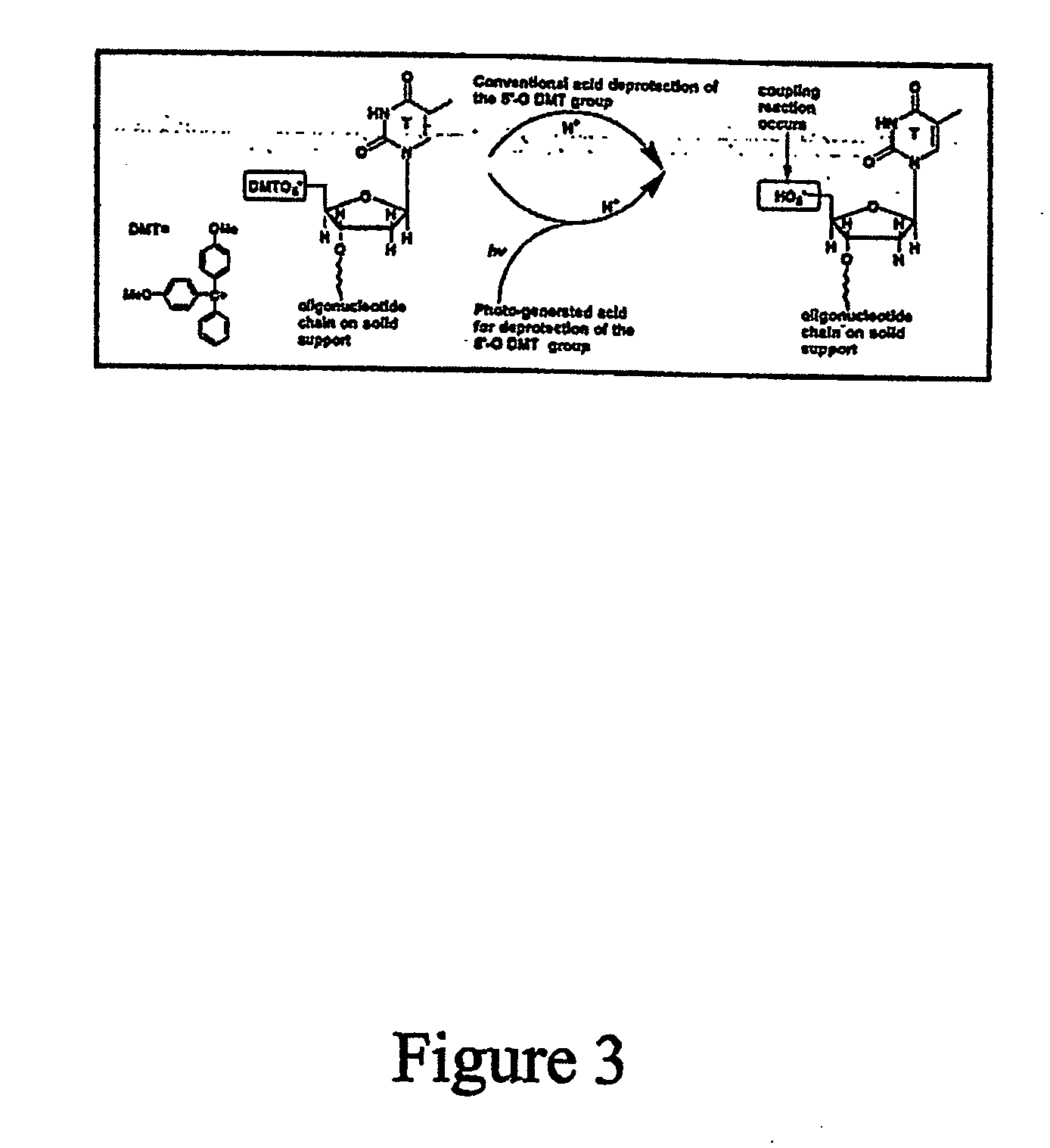 Array oligomer synthesis and use