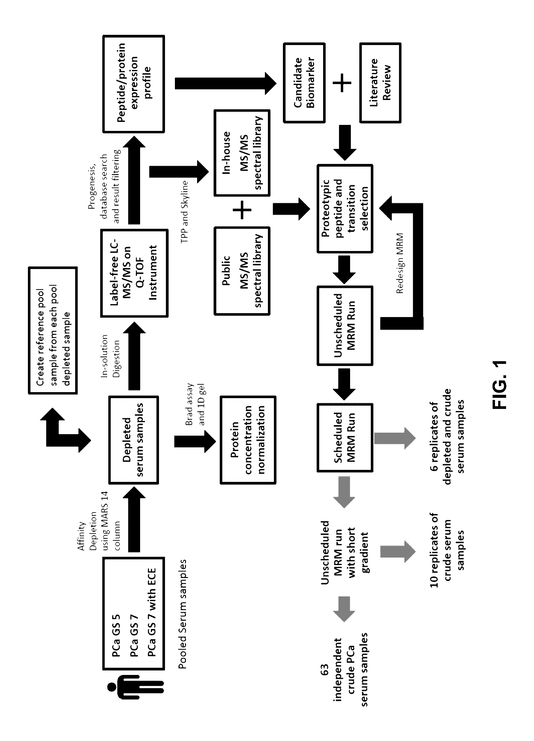 Prostate Cancer Biomarkers