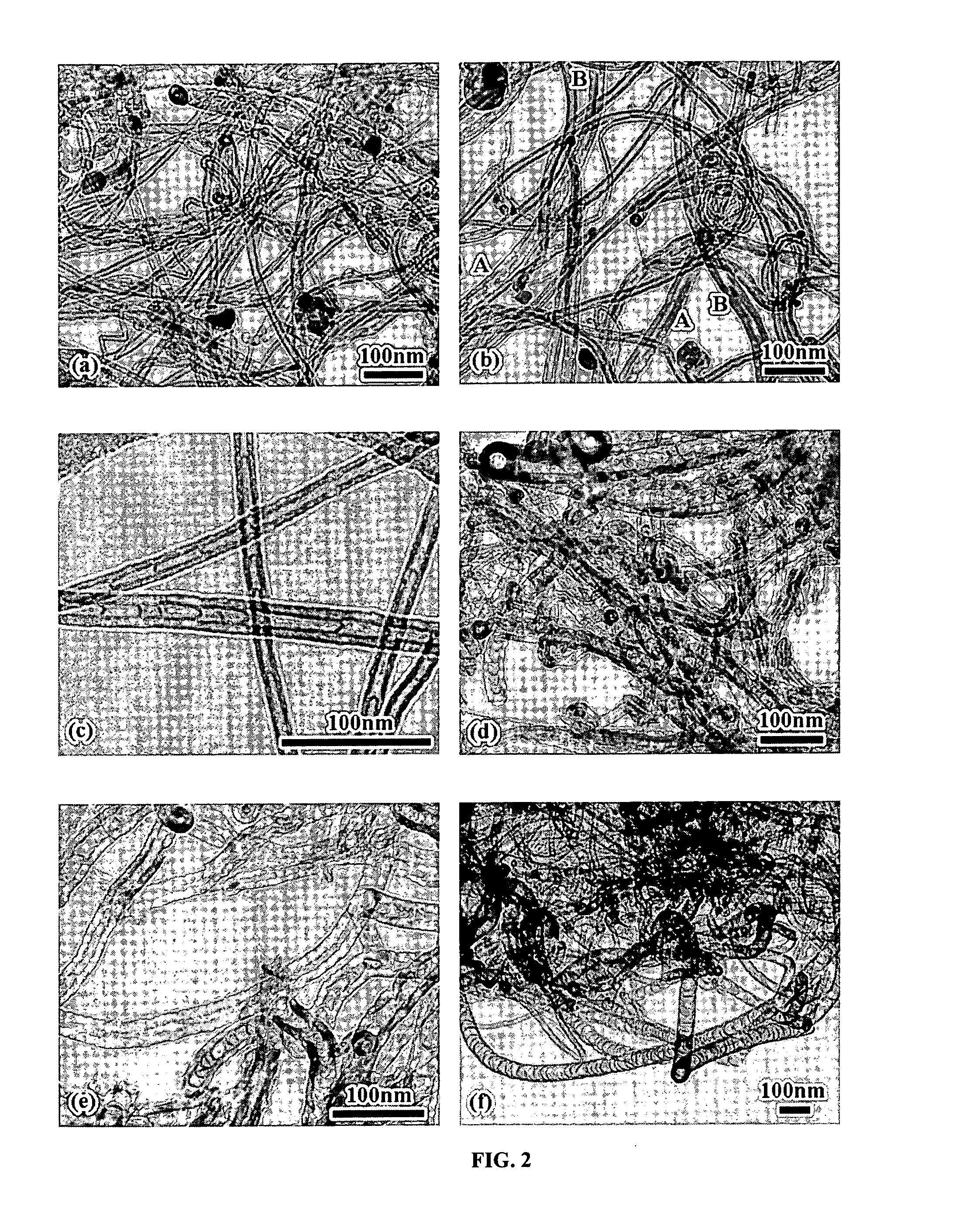 Varied morphology carbon nanotubes and method for their manufacture