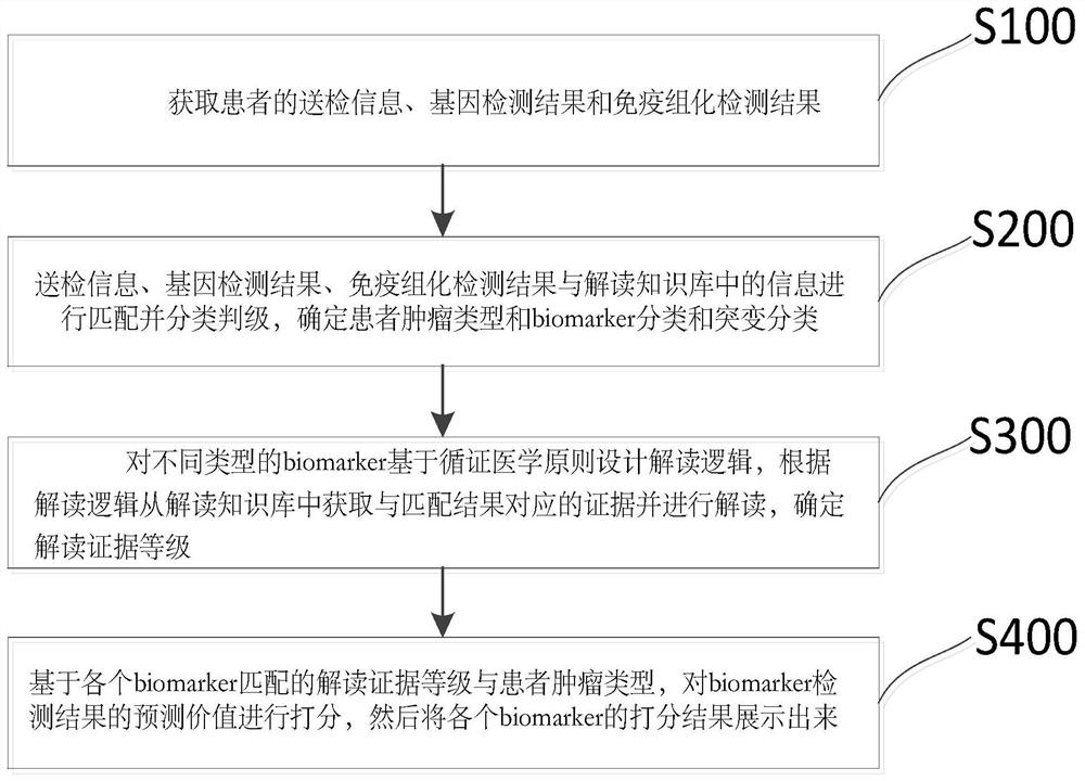 Interpretation method, system and storage medium for gene detection results of tumor individualized immunotherapy