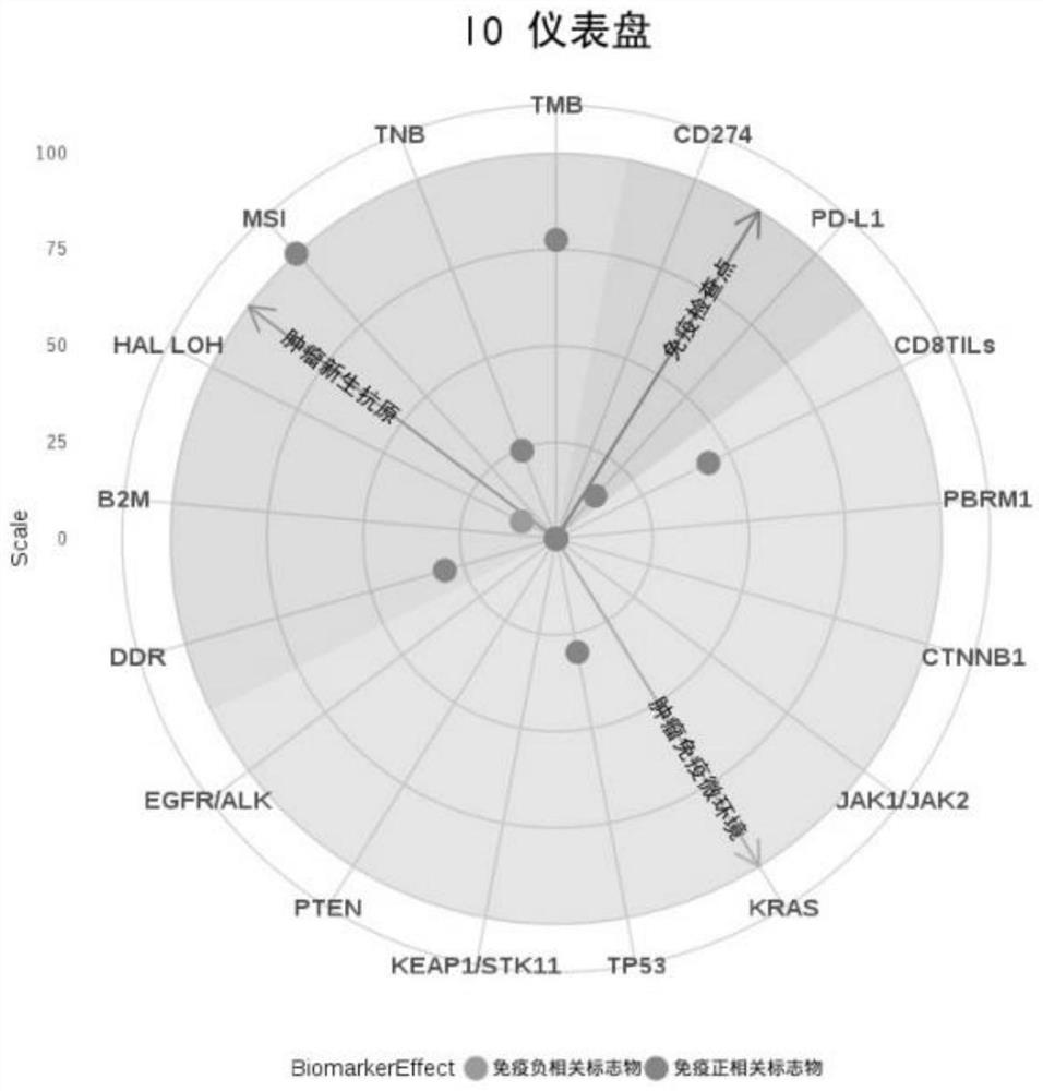 Interpretation method, system and storage medium for gene detection results of tumor individualized immunotherapy