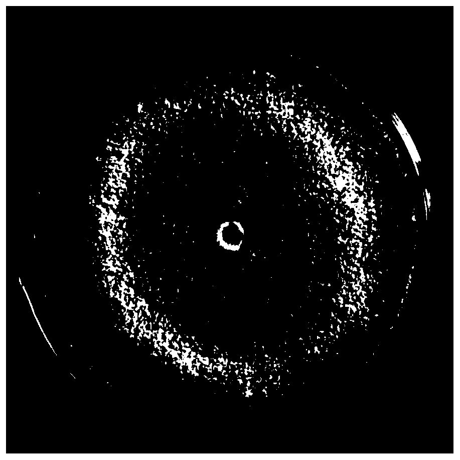 Multifunctional trichoderma reesei strain and application thereof