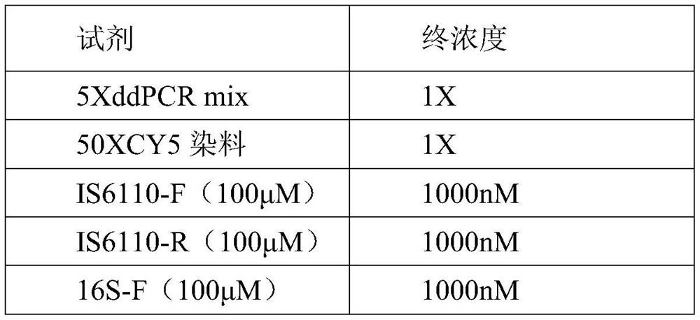 Primer probe composition, kit and method for detecting mycobacterium tuberculosis and nontuberculous mycobacterium