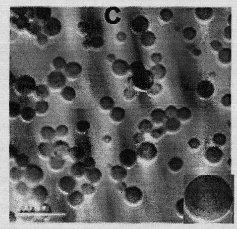 Method for preparing nano microcapsule water-based color paste