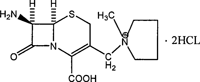 Process for producing 7-amino-3-[(1-methyl pyrrolidine) methyl]-3- cephalosporin-4-carboxylic dihydrochloride