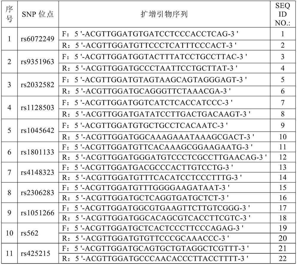 Instruction method for irinotecan individualized-medication genes and kit