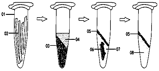 Method for cleaning and decomposing waxy fixed animal tissue