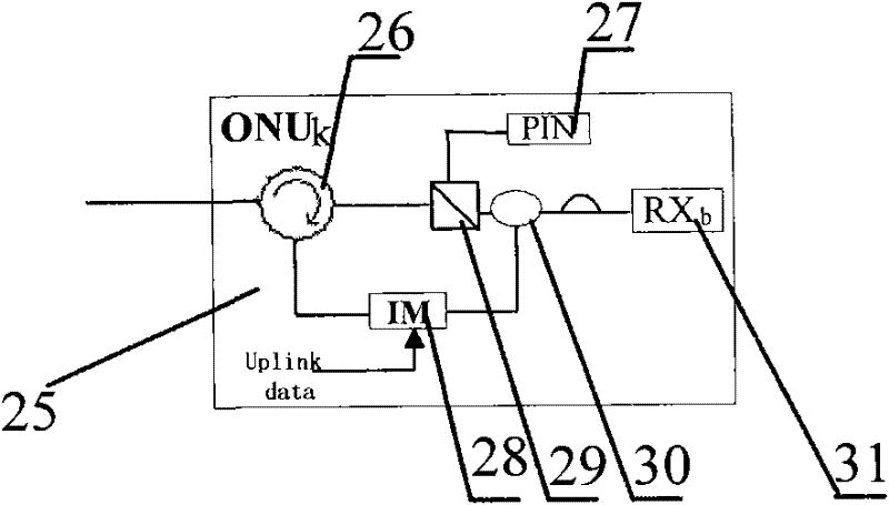 System and method for realizing wavelength reusing and broadcasting functions of wavelength division multiplexing passive optical network