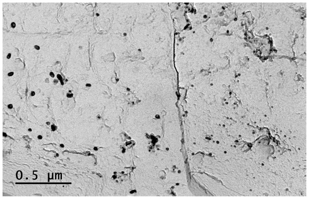 4.8-grade corrosion-resistant cold forging steel and production method thereof