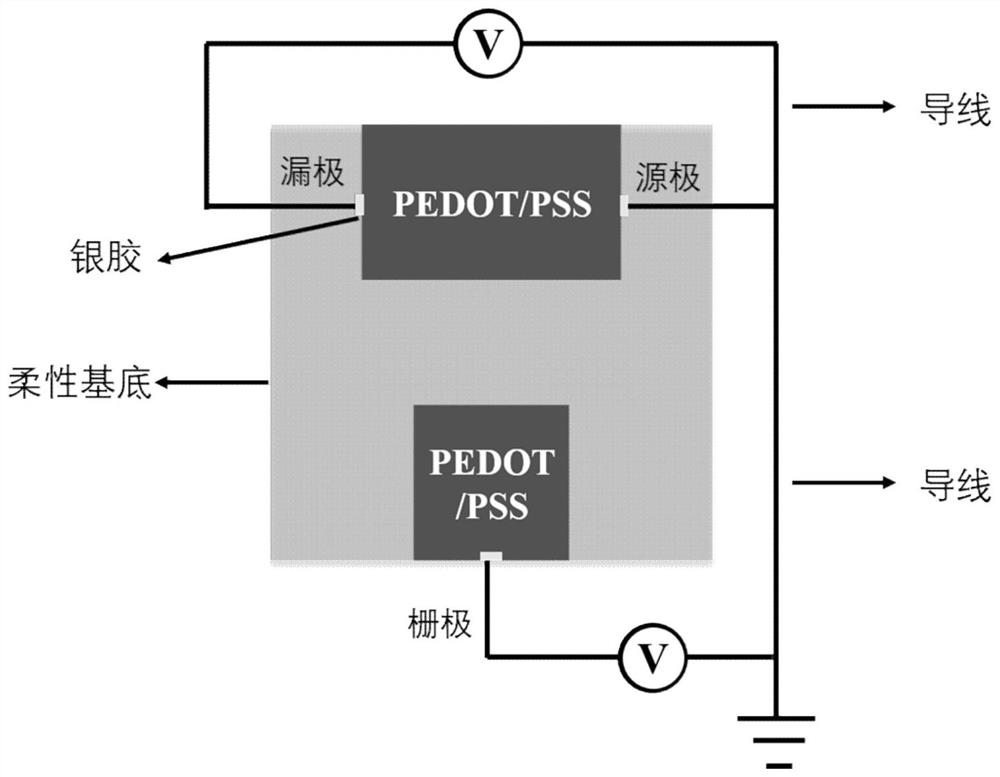 Construction of organic gate electrochemical transistor biosensor