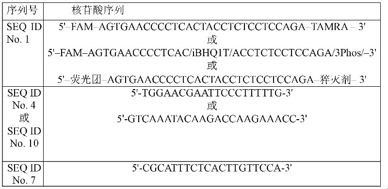 Probes and primers for detection of malaria