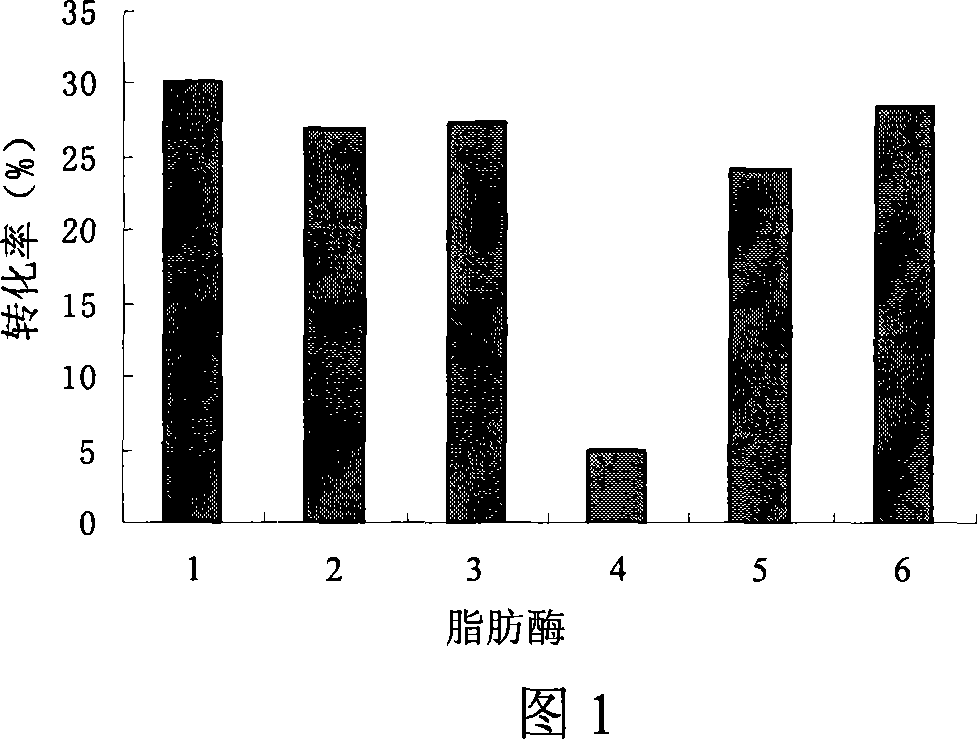 Method for preparing biodiesel by grease biotransformation in solvent-free system