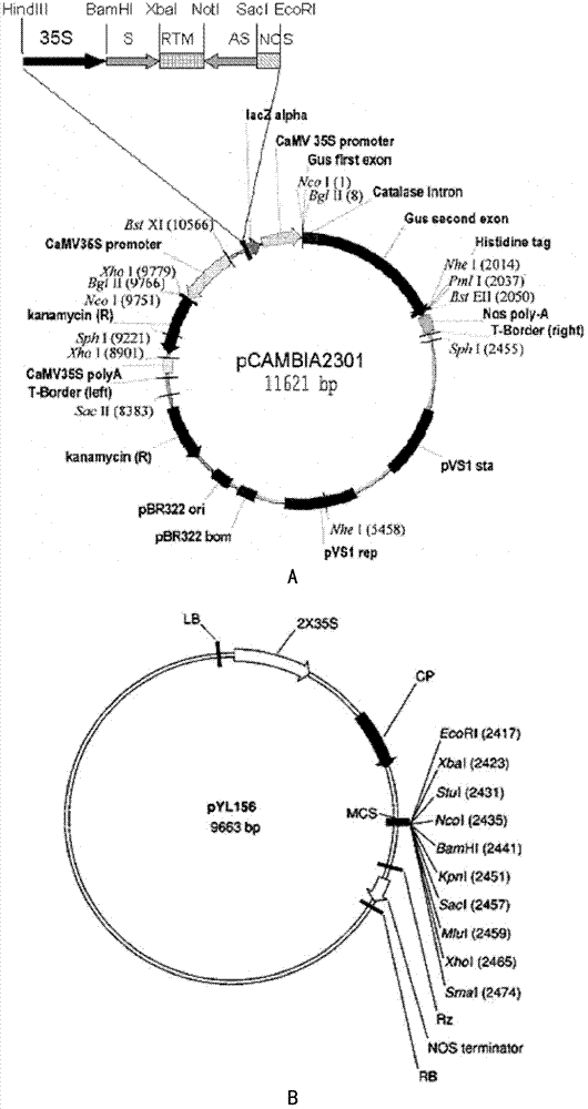 Method for raising insect resistance of plants