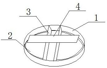 Method for observing growth morphological structure of flammulina velutipes hyphae