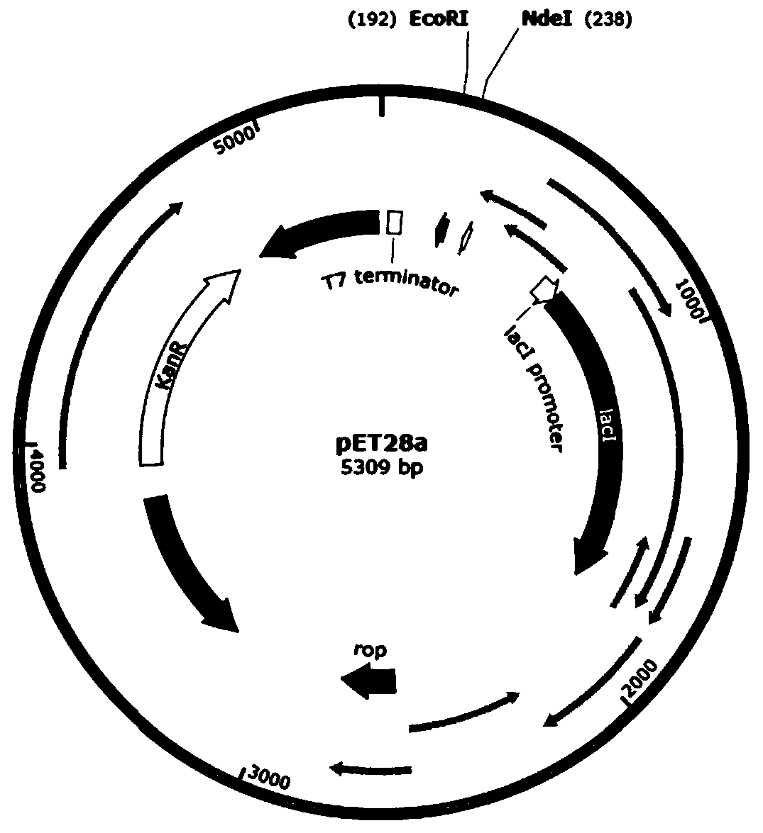 GnRH-defensin recombinant castrated vaccine and preparation method thereof