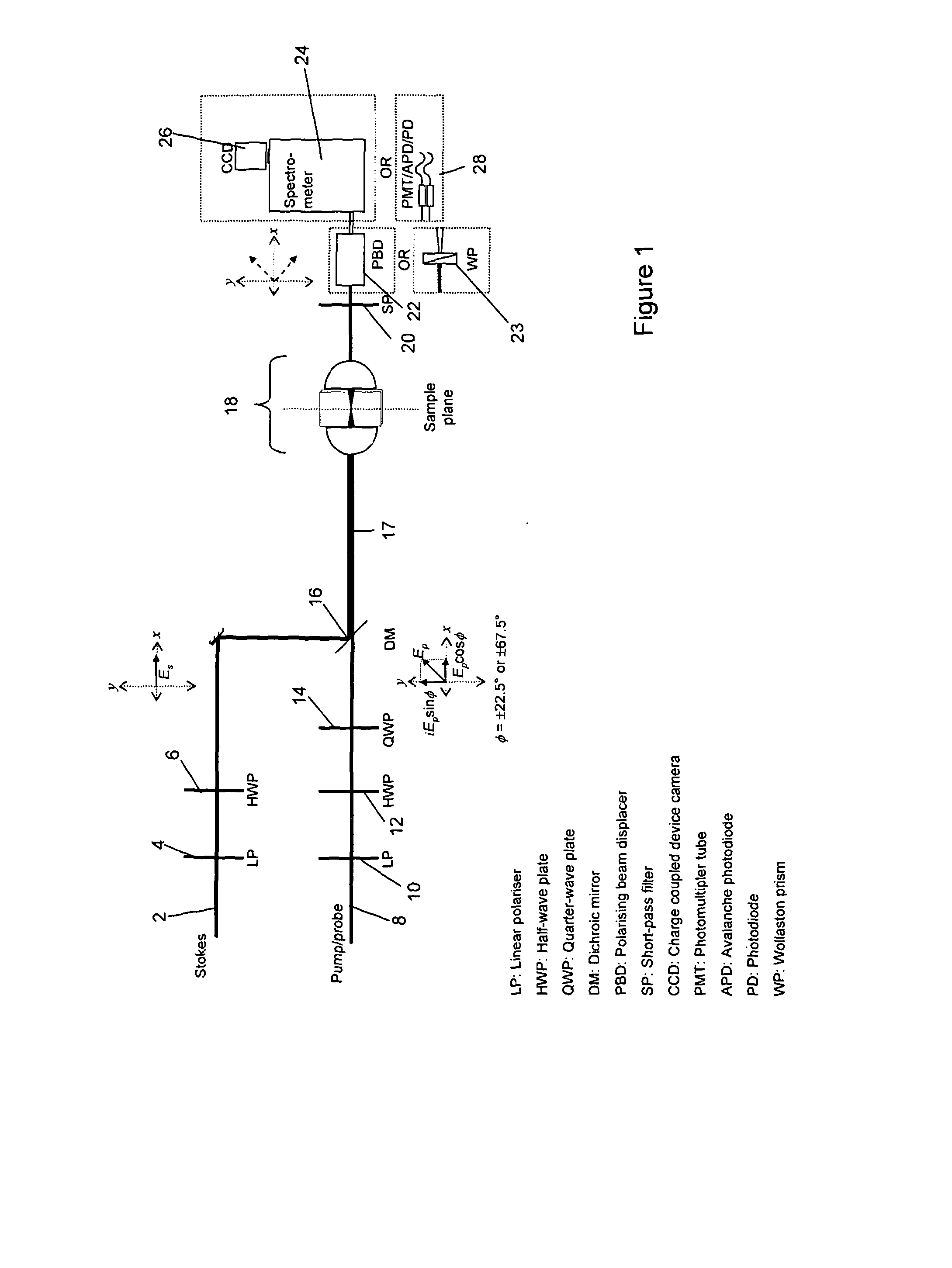 Method and apparatus for non-resonant background reduction in coherent Anti-stokes raman scattering (CARS) spectroscopy