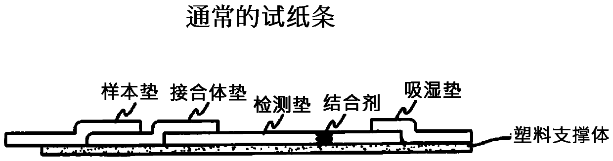 Chromatographic strip comprising multiple test lines, diagnostic kit comprising same, and qualitative, semi-quantitative or quantitative analysis method comprising multiple competitive reaction measurement steps