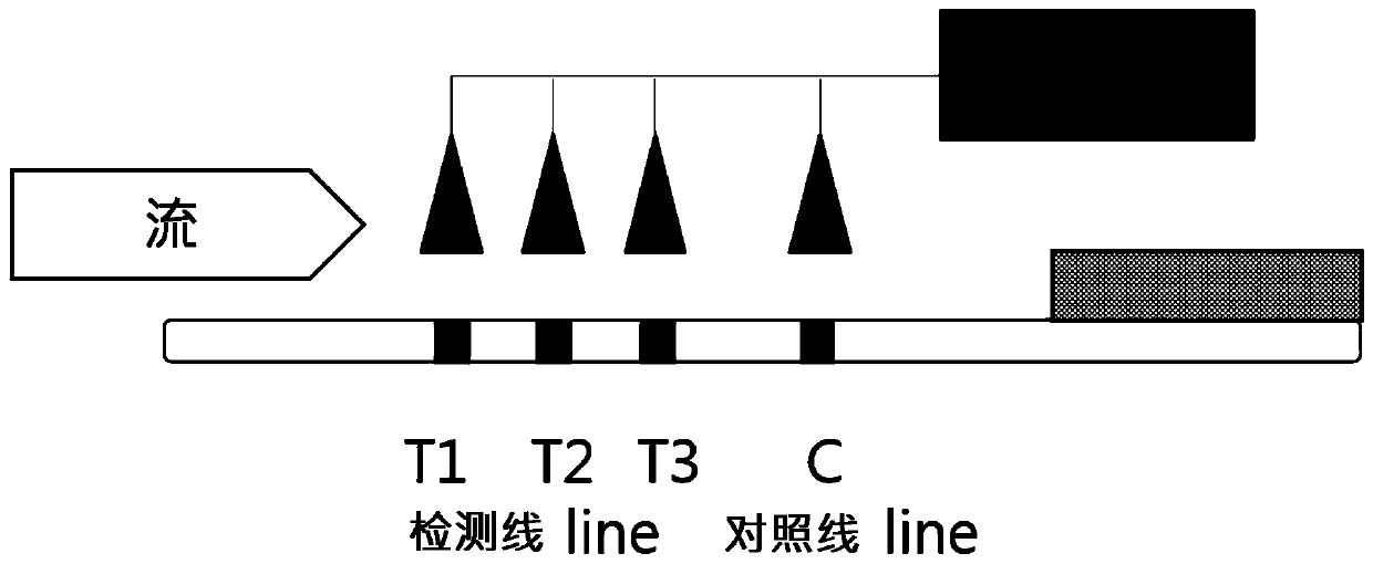 Chromatographic strip comprising multiple test lines, diagnostic kit comprising same, and qualitative, semi-quantitative or quantitative analysis method comprising multiple competitive reaction measurement steps