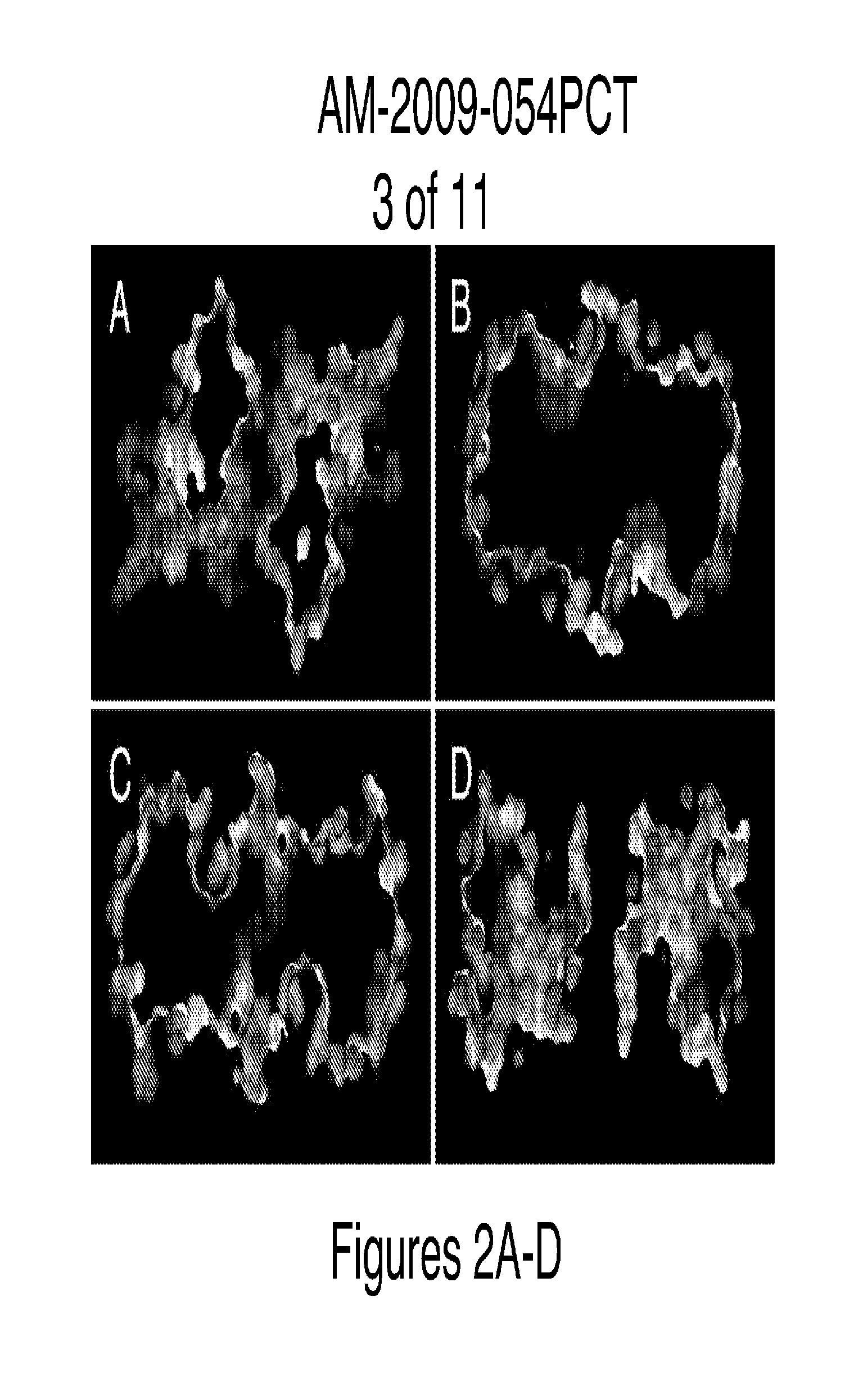 Method for binding site identification by molecular dynamics simulation (silcs: site identification by ligand competitive saturation)