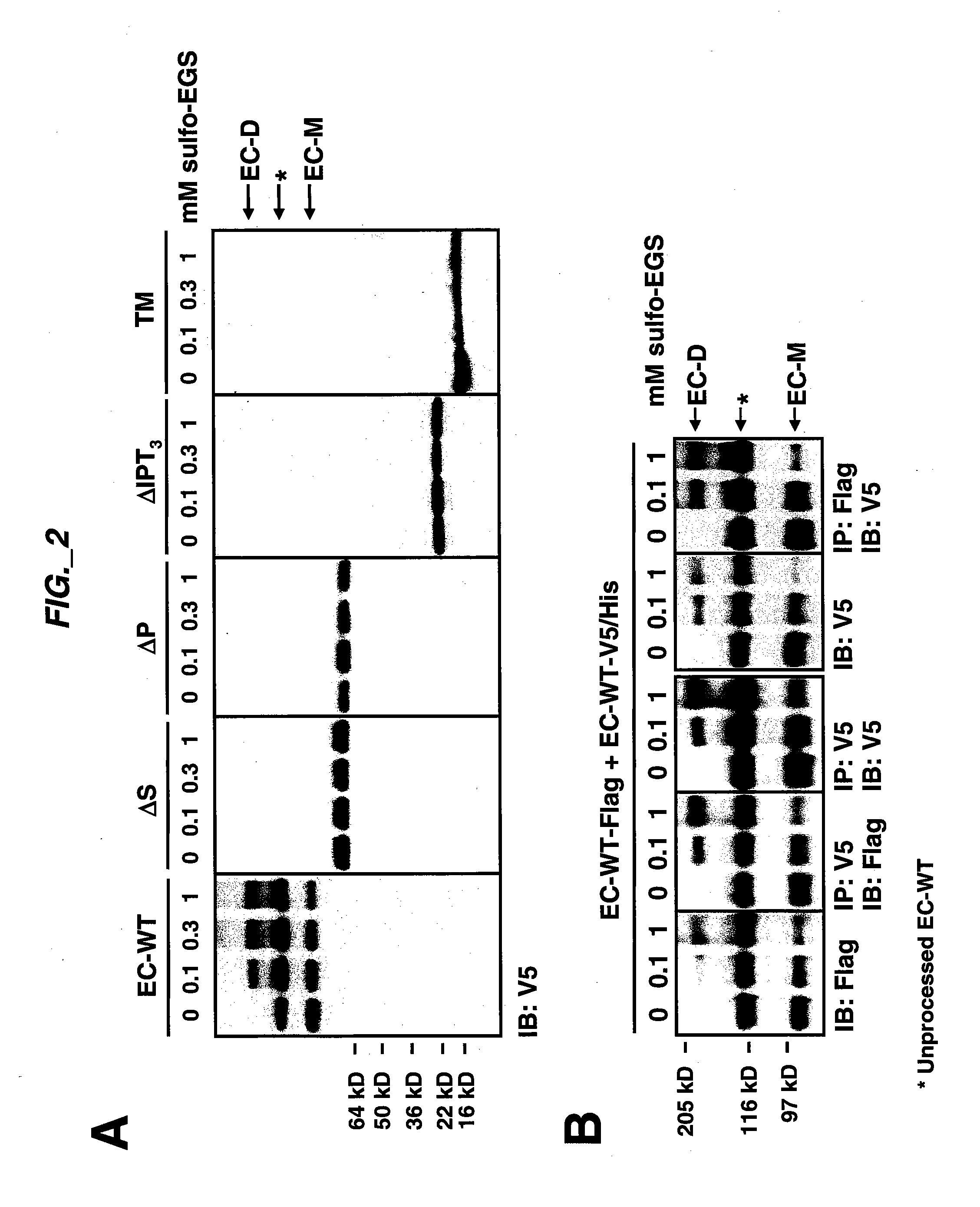 Methods and Compositions for Inhibiting C-MET Dimerization and Activation