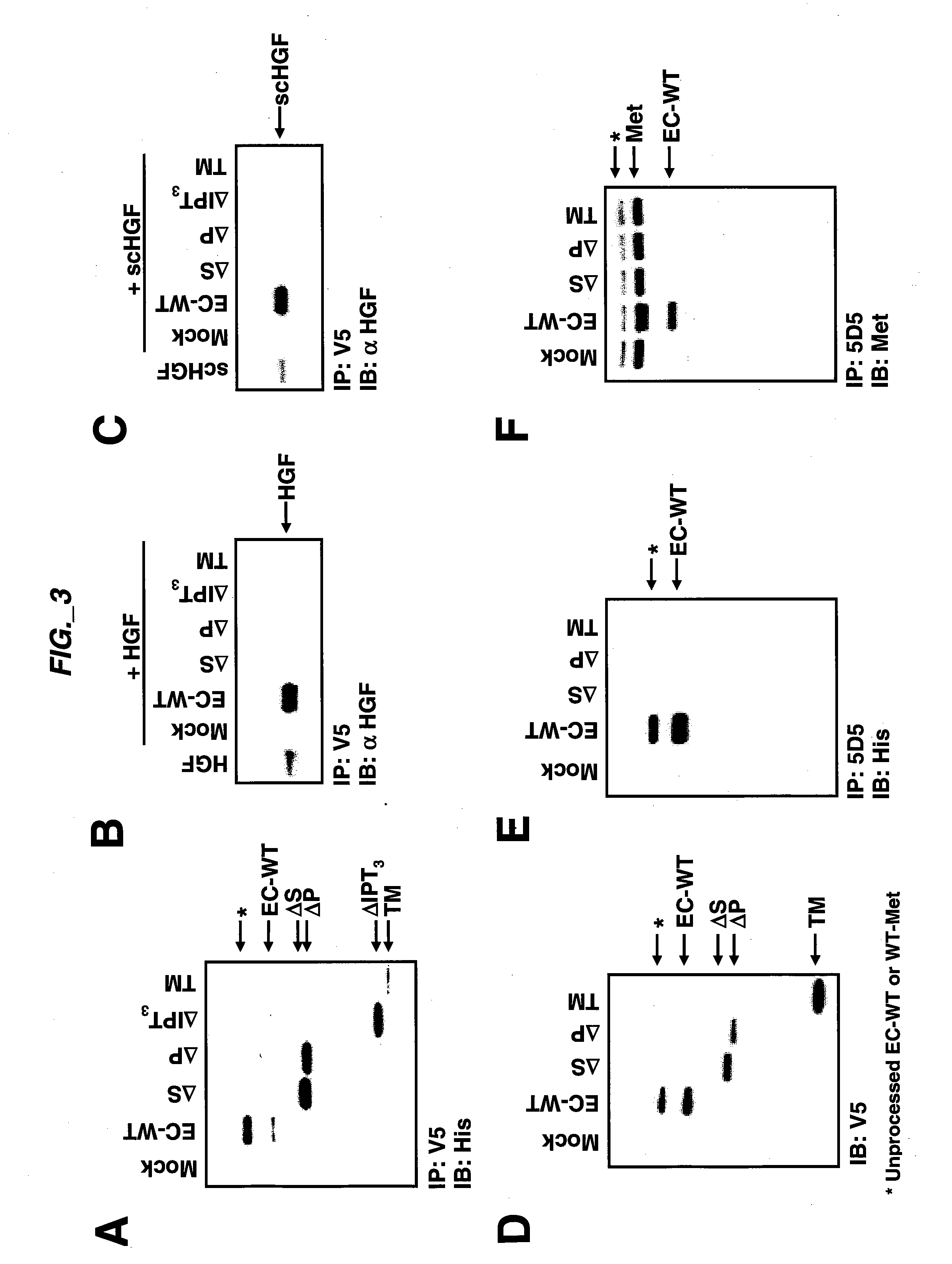 Methods and Compositions for Inhibiting C-MET Dimerization and Activation