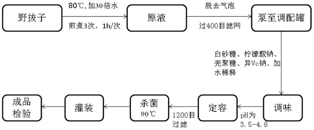 Elsholtzia rugulosa drink and preparation technology thereof