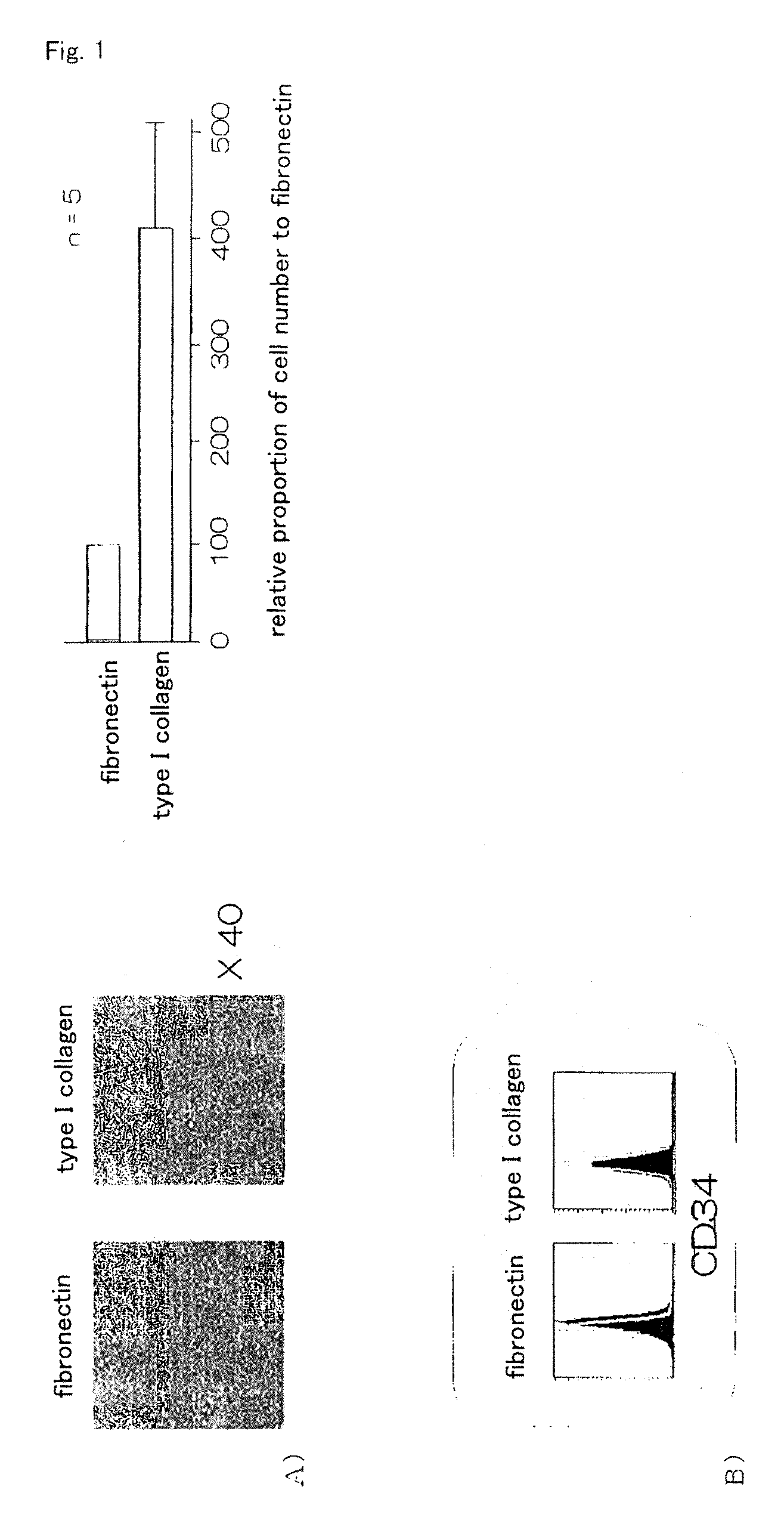 Method for efficient production of monocyte-derived multipotent cell (MOMC)