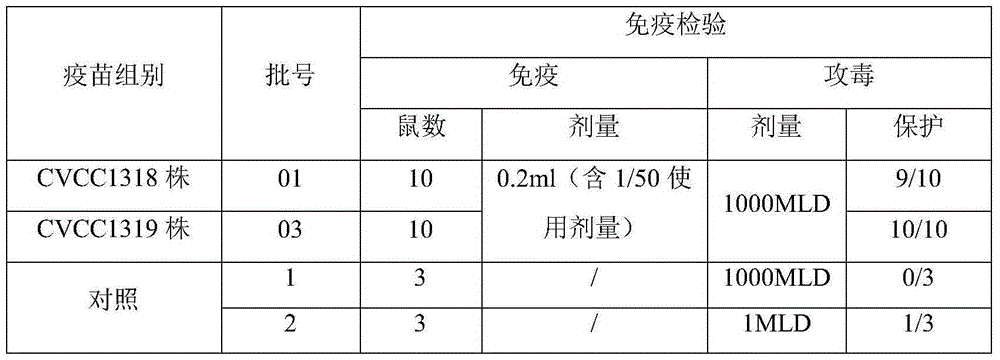 A kind of production method of porcine erysipelas live vaccine