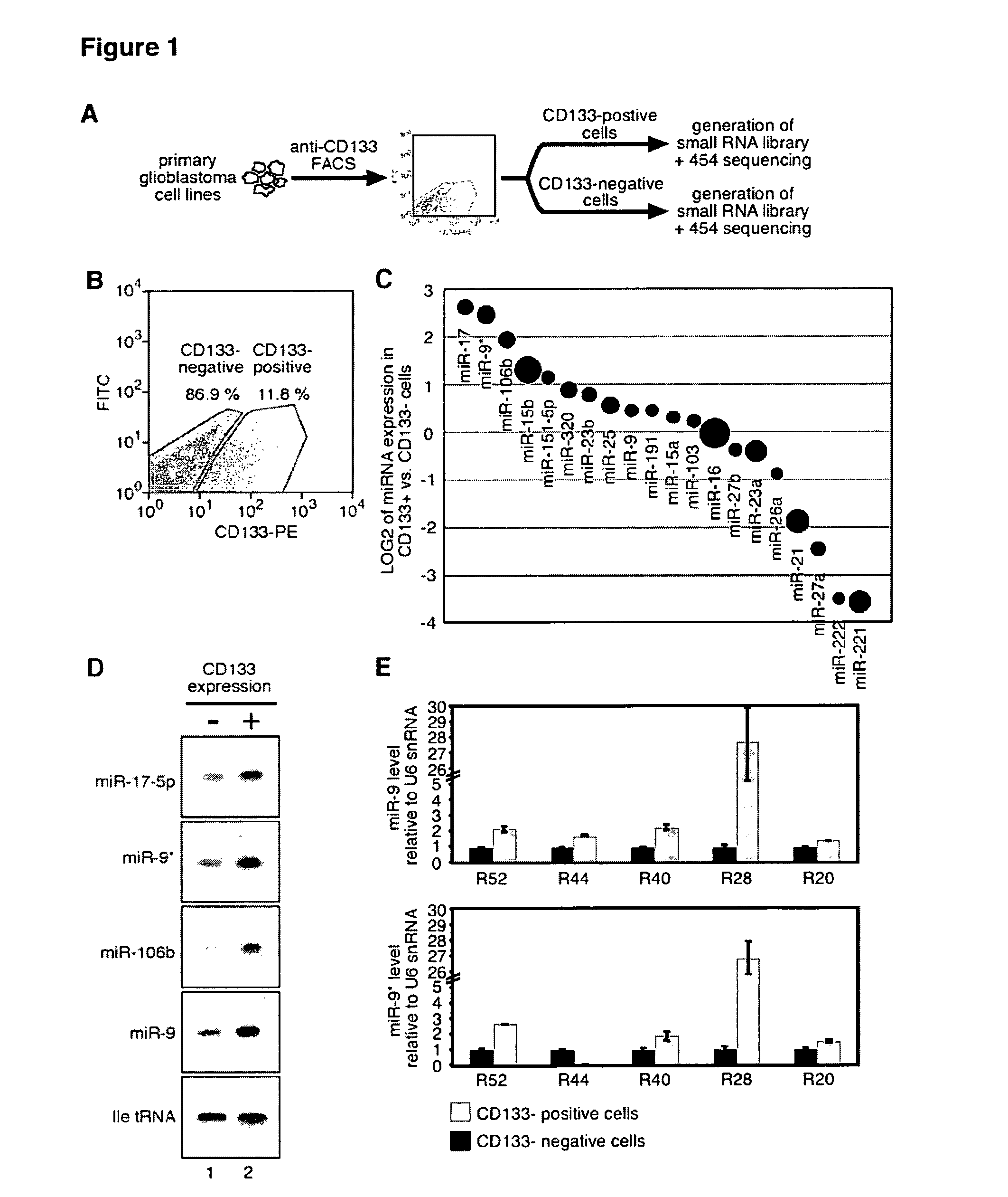 Compositions and methods for micro-rna expression profiling of cancer stem cells