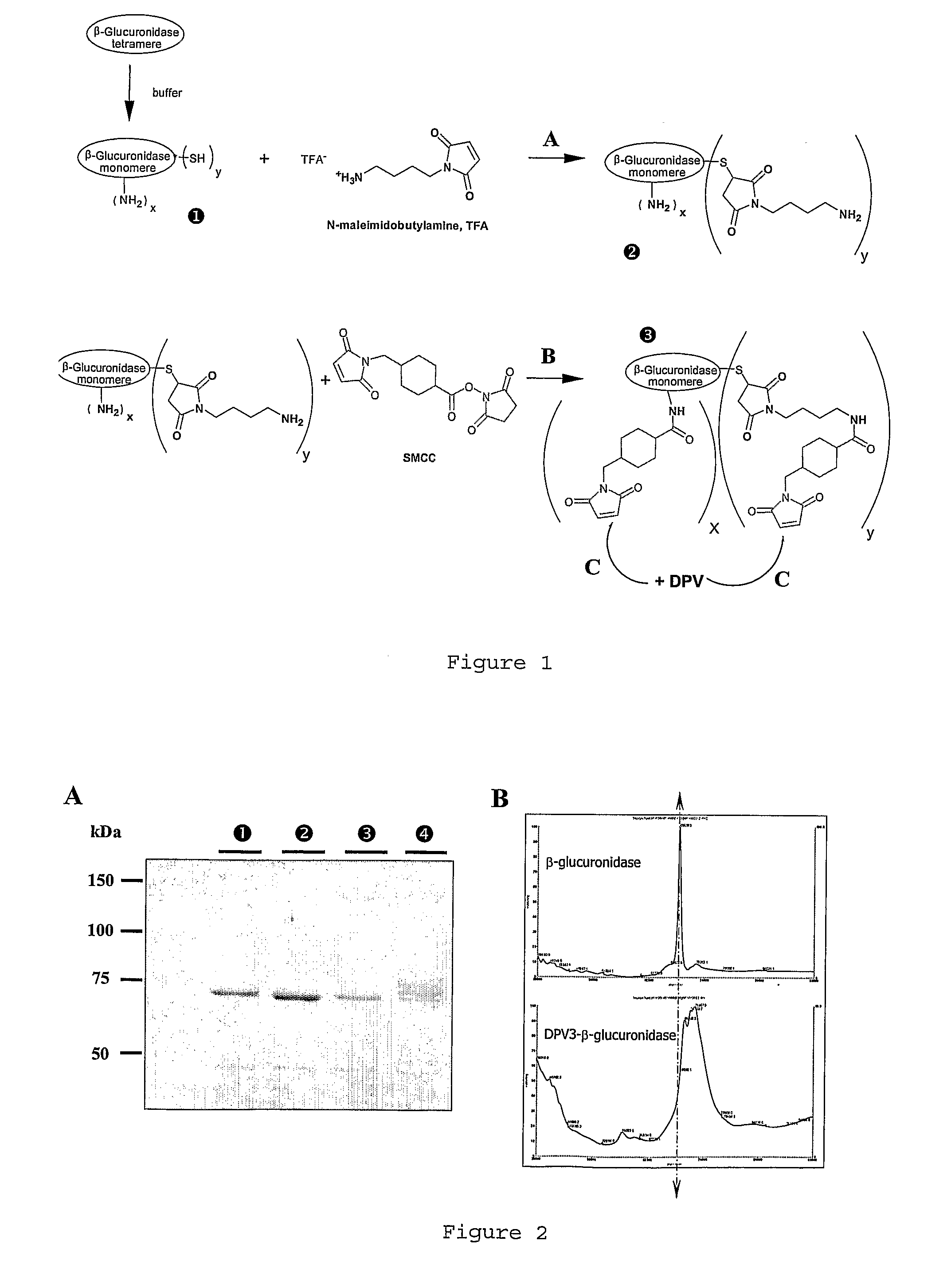 Compositions and Methods for Treating Lysosomal Storage Diseases