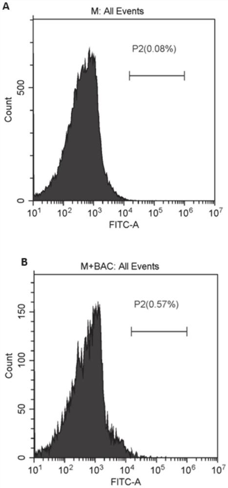 Phagocyte function detection method based on flow cytometry