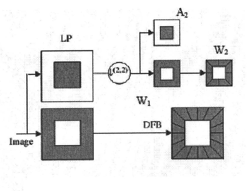 Compressed sensing theory-based reconstruction method of magnetic resonance image