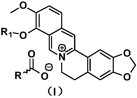 Preparation method and medical application of berberine hydrochloride conjugate