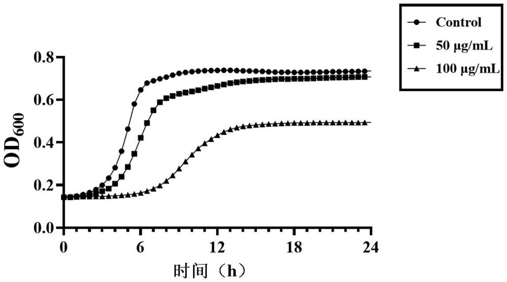 Application of houttuyfonate analogue in preparation of streptococcus mutans growth and biofilm inhibitor