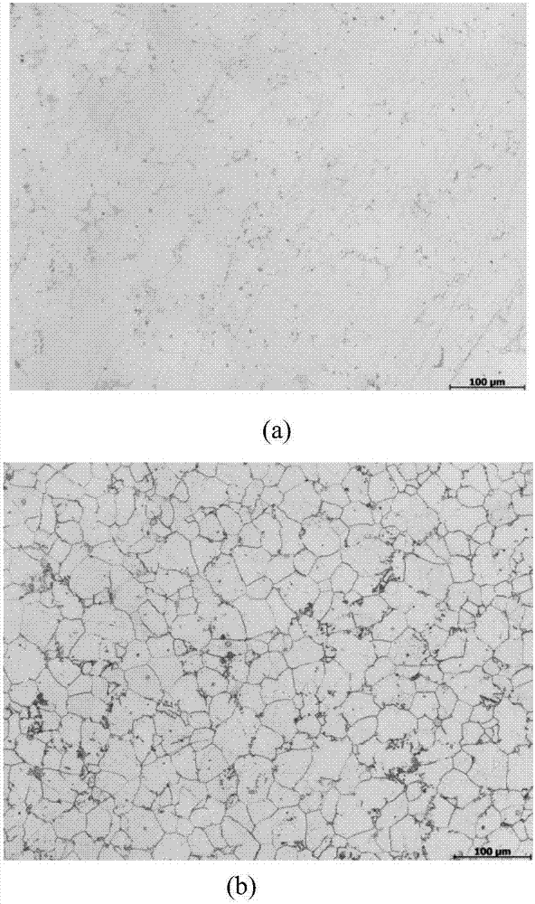 Aggressive agent for displaying metallographic structure of casting magnesium alloy and preparation method and application of aggressive agent