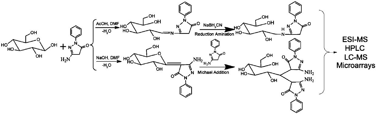 Derivatization and separation analysis method of amino pyrazolone iso-bifunctional reagents of reducible carbohydrate chains and glycoprotein O-carbohydrate chains