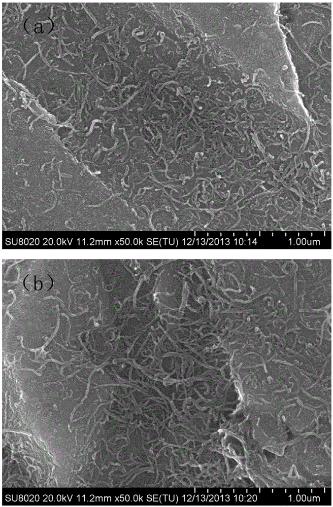 Preparation and application of carbon nanotube membrane electrode cnt-ti electrode as catalyst carrier