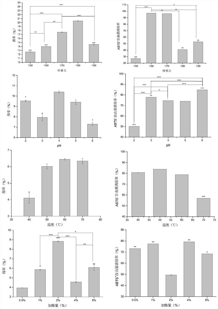 Method for extracting auricularia auricular polysaccharide by using biological enzyme method