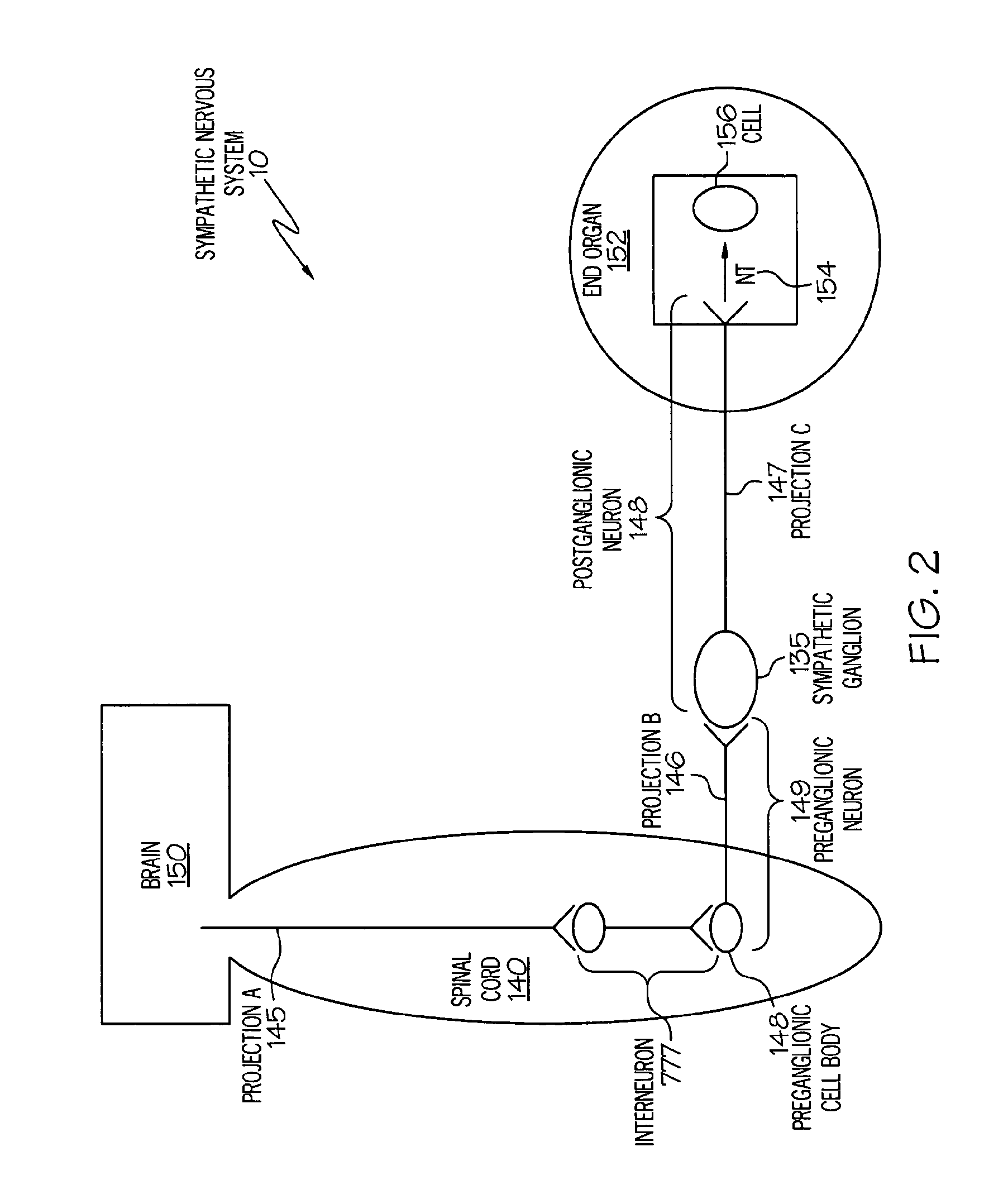 Device and method for inhibiting release of pro-inflammatory mediator