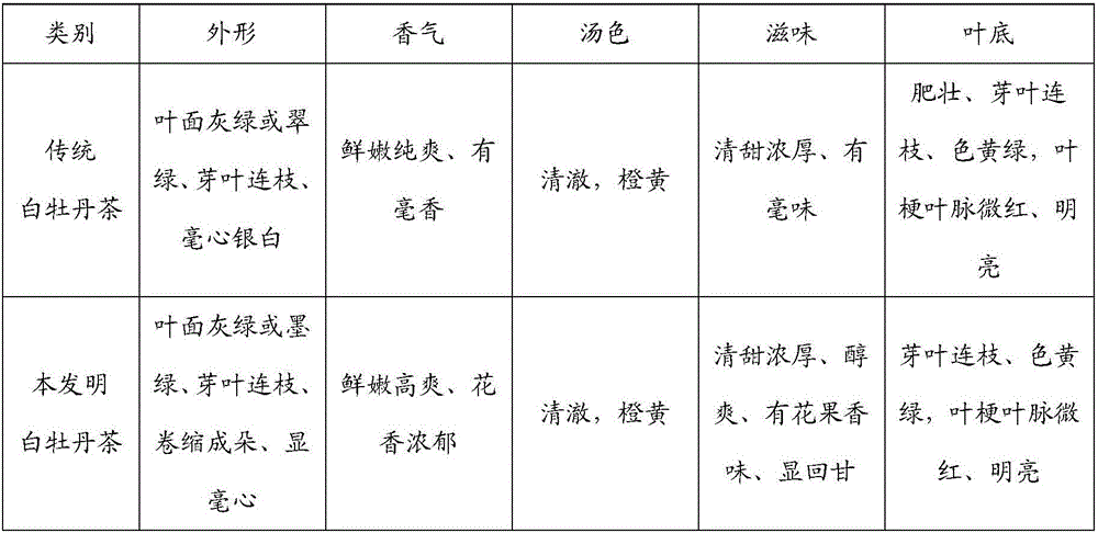 White tea and processing method thereof