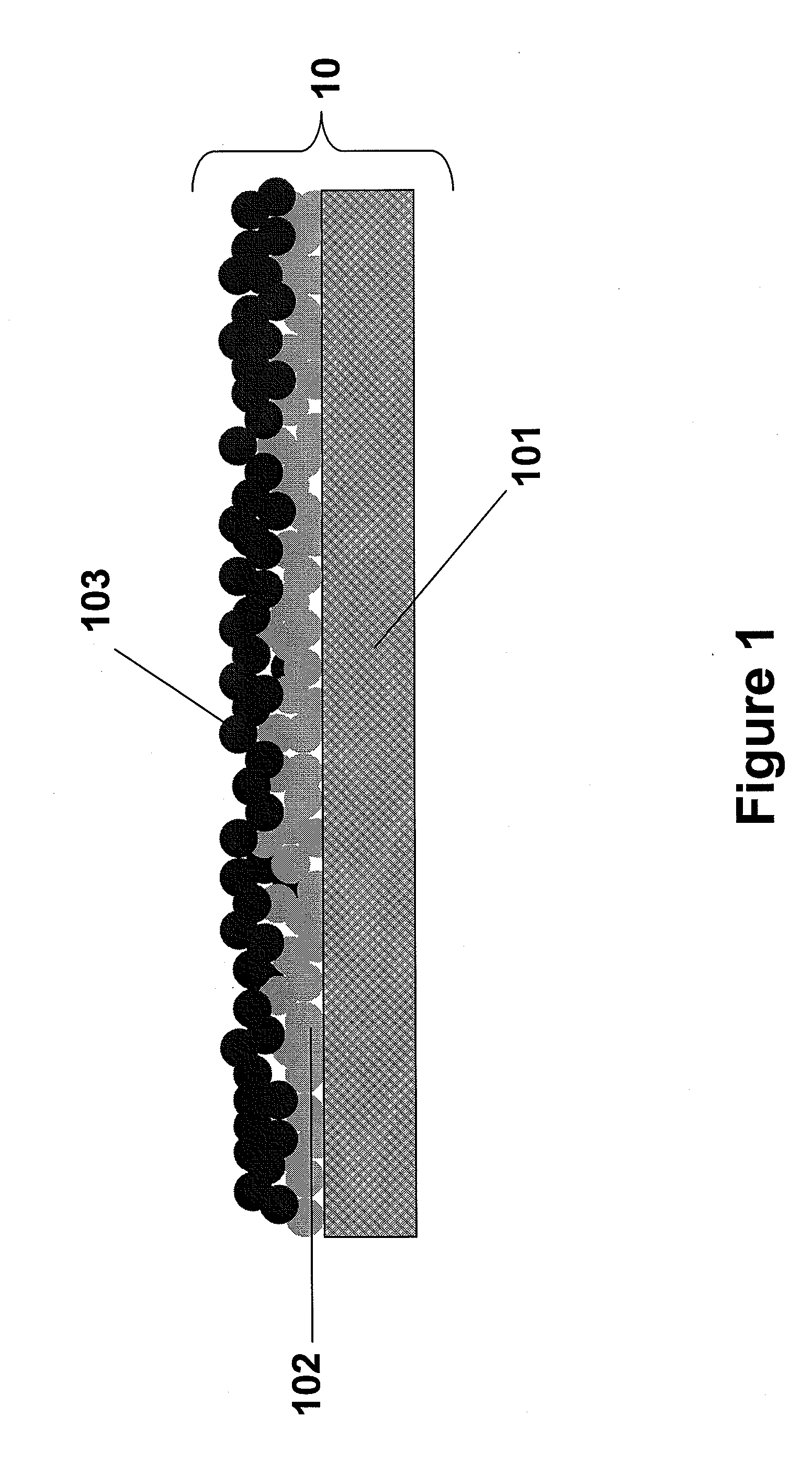 Nanoparticle coated electrode and method of manufacture
