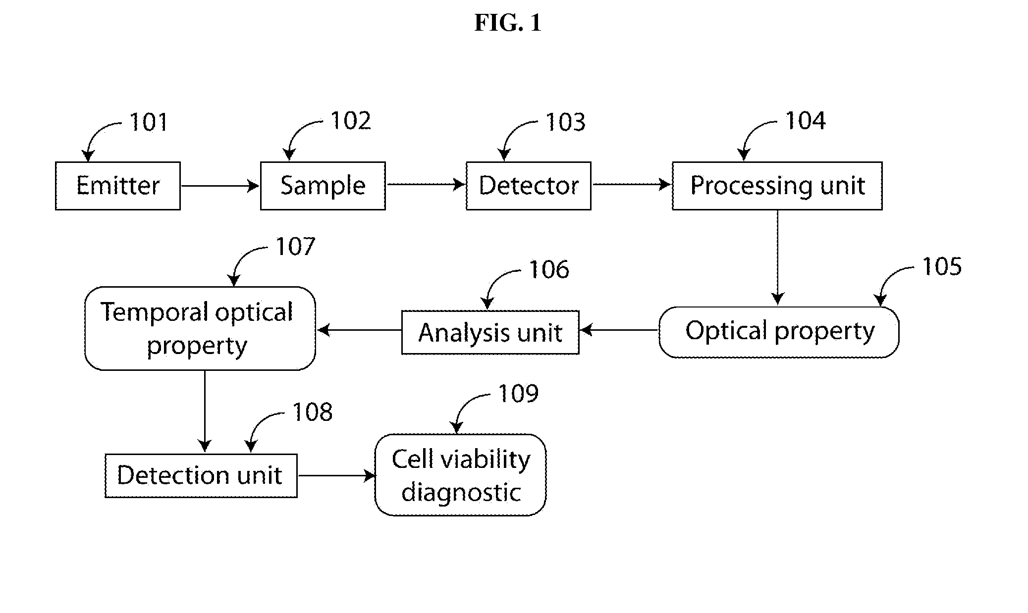 Apparatus and method for early diagnosis of cell death